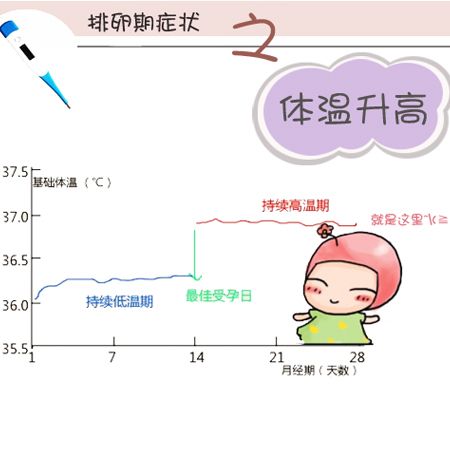 女性基礎(chǔ)體溫 女性基礎(chǔ)體溫