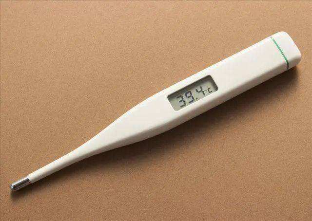 電子體溫計 電子體溫計